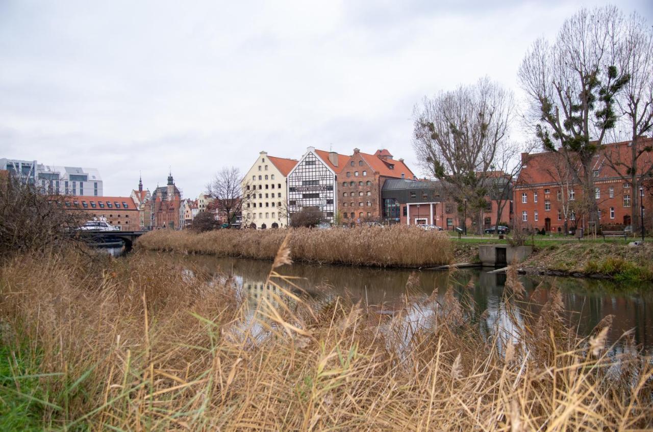Maya's Flats & - River View Gdańsk